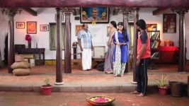 Pandian Stores S01E480 Mulla's Kind-heartedness Full Episode