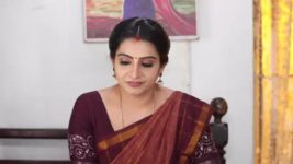 Pandian Stores S01E487 Dhanam Is Exhausted Full Episode