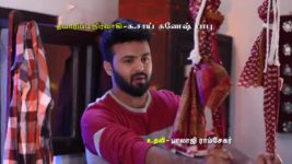 Pandian Stores S01E489 Meena, Jeeva's Parenthood Hitches Full Episode