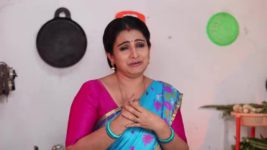 Pandian Stores S01E493 Dhanam Is Cornered Full Episode