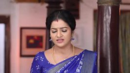 Pandian Stores S01E494 Meena Is Manipulated Full Episode