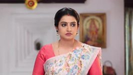 Pandian Stores S01E499 Parvathy Criticises Dhanam Full Episode