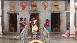 Pandian Stores S01E506 Mulla, Kathir Visit Meena Full Episode