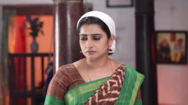 Pandian Stores S01E529 Meena Wreaks Havoc Full Episode