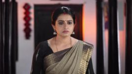 Pandian Stores S01E537 Raasathi Creates Trouble Full Episode