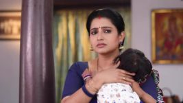 Pandian Stores S01E553 Kathir in a Fit of Rage Full Episode