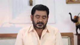 Pandian Stores S01E562 Dhanam Gets Hospitalised Full Episode