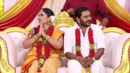 Pandian Stores S01E660 Dhanam Changes Her Mind Full Episode