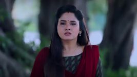 Pandian Stores S01E708 Aishwarya Vents Out to Kannan Full Episode