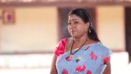 Pandian Stores S01E725 Dhanam Shows Concern Full Episode