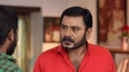 Pandian Stores S01E755 Meena Gets Suspicious Full Episode