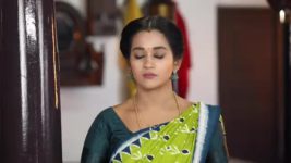 Pandian Stores S01E768 Kathir Bashes Up the Goons Full Episode