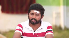 Pandian Stores S01E779 Dhanam Is Moved Full Episode