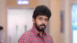 Pandian Stores S01E806 Kathir Feels Shattered Full Episode