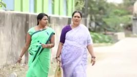 Pandian Stores S01E86 Parvathy Picks on Dhanam Full Episode