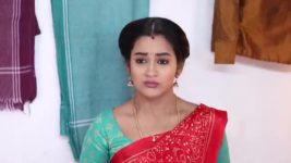 Pandian Stores S01E862 Moorthy Returns The Advance Full Episode