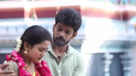 Pandian Stores S01E872 Dhanam Concerned about Mulla Full Episode