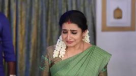 Pandian Stores S01E918 Meena Muddles up the Issue Full Episode