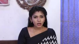 Pandian Stores S01E965 Meena wants to Move Out Full Episode