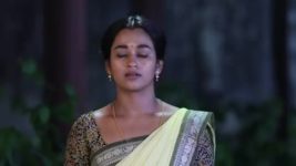 Pandian Stores S01E971 Meena Is Worried Full Episode