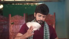 Pandian Stores S01E993 Malli Teases Kathir Full Episode