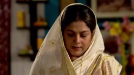 Phagun Bou S01E396 Bibi Is Suspicious Full Episode