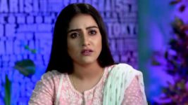 Phagun Bou S01E412 Mahul Misunderstands Ayandeep Full Episode