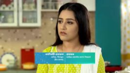 Phagun Bou S01E433 Mahul to Convince Barshan Full Episode