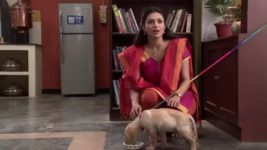 Yeh Hai Mohabbatein S01E03 Why is Madhavi to blame? Full Episode