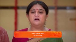 Amudhavum Annalakshmiyum S01 E424 25th November 2023