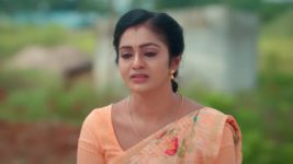 Anna (Tamil) S01 E153 8th November 2023