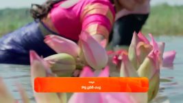 Chiranjeevi Lakshmi Sowbhagyavati S01 E259 6th November 2023