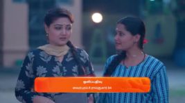 Nala Damayanthi S01 E29 10th November 2023