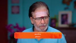 Nala Damayanthi S01 E33 15th November 2023