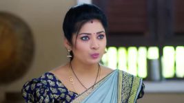 Padamati Sandhyaragam S01 E365 17th November 2023