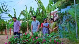 Punarvivaha S01 E792 21st November 2023