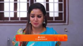 Sandakozhi S01 E217 24th November 2023