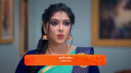 Seetha Ramam S01 E213 13th November 2023