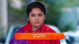 Seetha Ramam S01 E217 17th November 2023