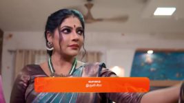 Seetha Ramam S01 E224 28th November 2023