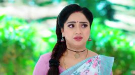 Trinayani (Kannada) S01 E884 24th November 2023