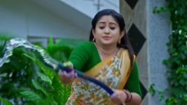 Yeda Loyallo Indradhanasu S01 E176 Amulya Is Applauded