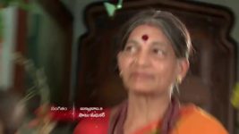 Koilamma S06E100 Chinni, Manoj Perform the Ritual Full Episode