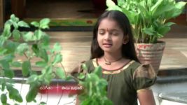 Koilamma S06E101 What Will Chinni Decide? Full Episode