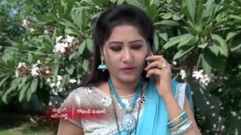 Koilamma S06E111 Sambayya is Assaulted Full Episode