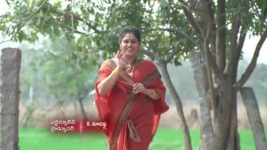 Koilamma S06E174 Bad News for Indraja Full Episode