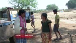 Koilamma S06E181 Danger Ahead for Chinni Full Episode