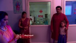 Koilamma S06E182 Manoj Feels Helpless Full Episode