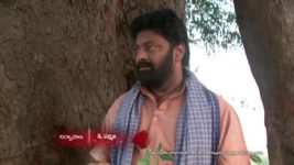 Koilamma S06E186 Who Will Save Chinni? Full Episode