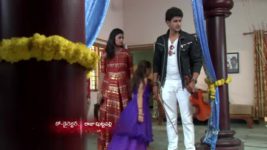 Koilamma S06E233 Subhash's Decision for Chinni Full Episode